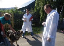 Актив ТОС микрорайона «Орджоникидзе» оказал содействие в проведении бесплатной вакцинации домашних животных