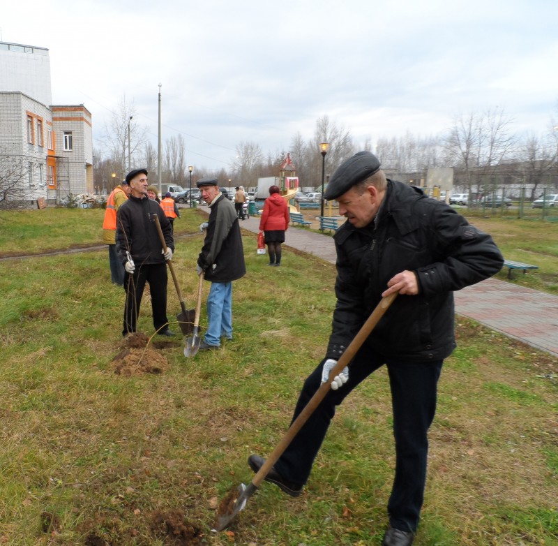 Липовая аллея в ТОС поселков Новый и Кооперативный высажена при поддержке депутата городской Думы Н.М. Шумилкова