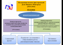 ПОЛОЖЕНИЕ о Молодежной палате при городской Думе города Нижнего Новгорода