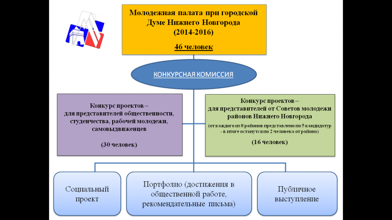 Положение 2014. Задачи молодежной палаты. Цели и задачи молодежной палаты. Молодежная палата структура. Структура городской Думы Нижнего Новгорода.