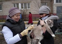 Вакцинация домашних животных проходит в Приокском районе