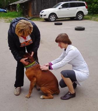 В Сормовском районе началась вакцинация домашних животных