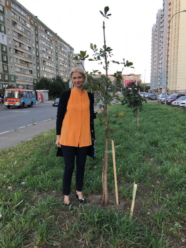 Осенние поделки из каштанов и пластилина в детский сад своими руками