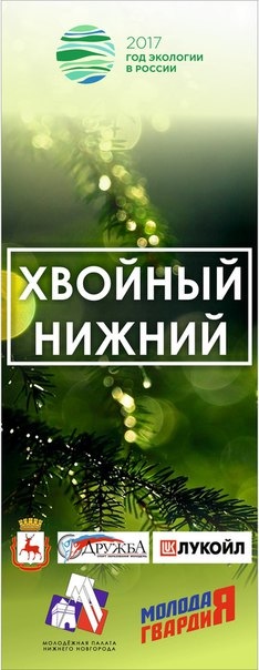 Нижегородцы самостоятельно выберут место посадки хвойных аллей в рамках проекта «Хвойный Нижний»