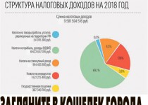 Сегодня, 29 ноября 2017 года, в еженедельнике «Московский комсомолец  в Нижнем Новгороде» вышла в свет статья «Загляните в кошелек города» об инициативе главы города Нижнего Новгорода Елизаветы Солонченко  «Открытый бюджет»