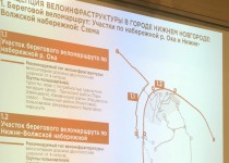 Елизавета Солонченко поручила создать дорожную карту по развитию велоинфраструктуры