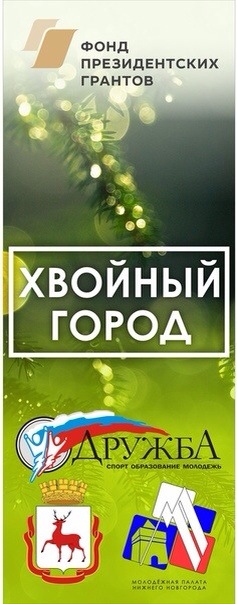 Молодежная палата Нижнего Новгорода подвела итоги экологического проекта «Хвойный город»