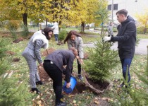 Проект Хвойный город реализуется в Нижегородском районе