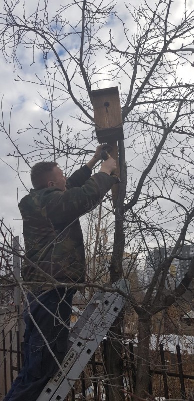 Экологическая акция «Пернатый друг» в ТОС Сормовского района