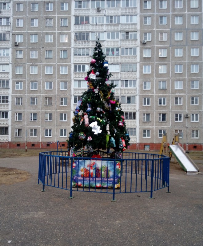 Дмитрий Кузин приобрел новогоднюю елку для жителей домов по улице Рубинчика