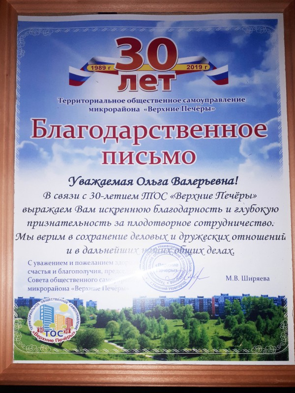 Общественные организации Нижегородского района поблагодарили Ольгу Балакину за поддержку в 2019 году