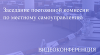 Прямая трансляция заседания постоянной комиссиии по местному самоуправлению 27.04.2020