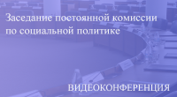Прямая трансляция заседания постоянной комиссиии по социальной политике 21.05.2020