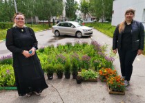 В Автозаводском районе прошла благотворительная акция «Аллея добра»