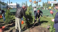 Городская Дума поддержала акцию «Сад памяти» в Нижнем Новгороде