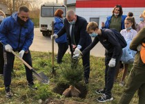 Станислав Прокопович поддержал проект «Хвойный город»