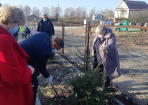 Проект «Хвойный город» в Приокском районе