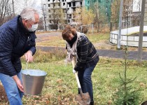 Ольга Балакина приняла участие в проекте «Хвойный город»