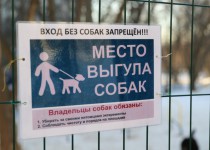 Депутаты считают необходимым увеличить количество площадок для выгула собак в Нижнем Новгороде