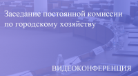 Прямая трансляция заседания постоянной комиссии по городскому хозяйству 09.12.2020