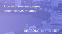 Прямая трансляция совместного заседания постоянных комиссий  по бюджетной, финансовой и налоговой политике и по имуществу и земельным отношениям 23.12.2020