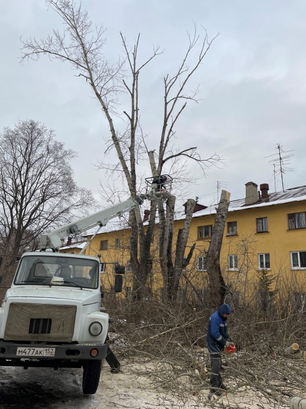 Роман Пономаренко помог спилить авариные деревья на Космической улице