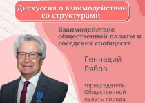Общественная палата Нижнего Новгорода запускает новый проект «Сохраним город после юбилея: народный контроль»