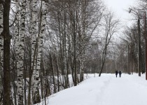 Внесены изменения в Порядок ведения перечня озелененных территорий общего пользования Нижнего Новгорода