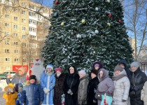 Проект «Новый год в каждый двор» в ТОС поселка Светлоярский и 7-го микрорайона и ТОС поселка Комсомольский