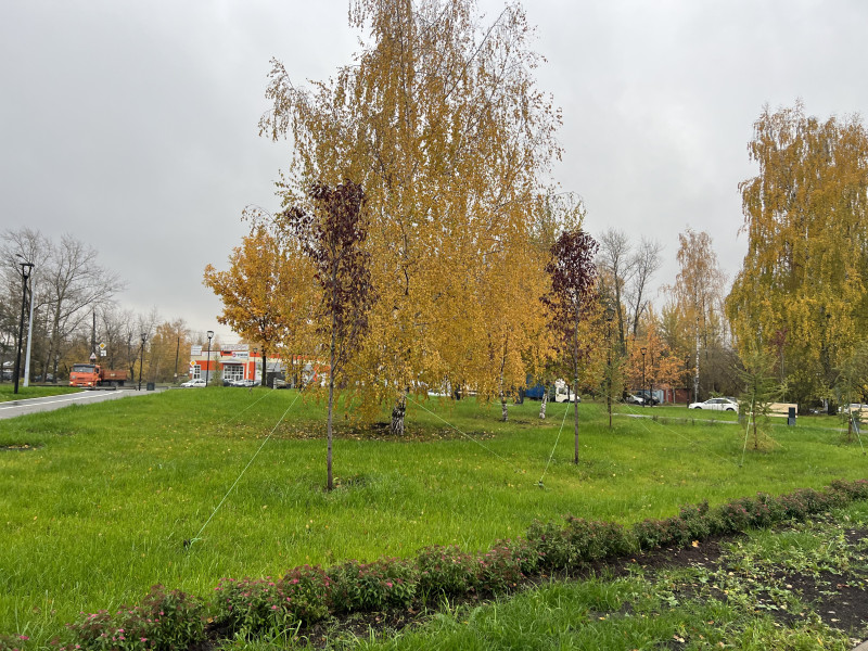 Две нижегородских озелененных территории получили статус скверов