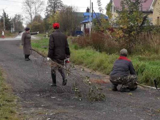 В поселке Новое Доскино прошел осенний субботник