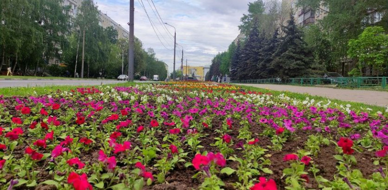 Депутаты городской Думы обсудят содержание объектов озеленения  в Нижнем Новгороде