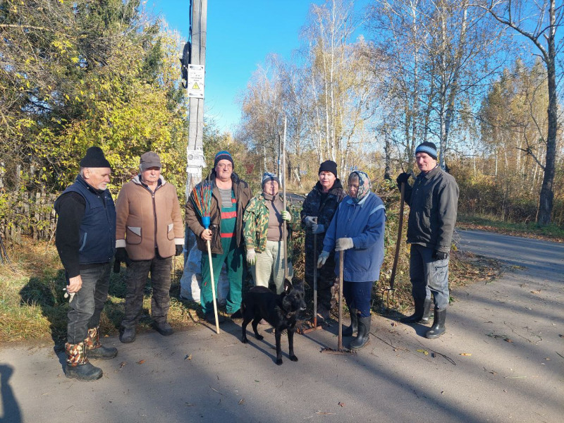 В поселке Новое Доскино прошел осенний субботник